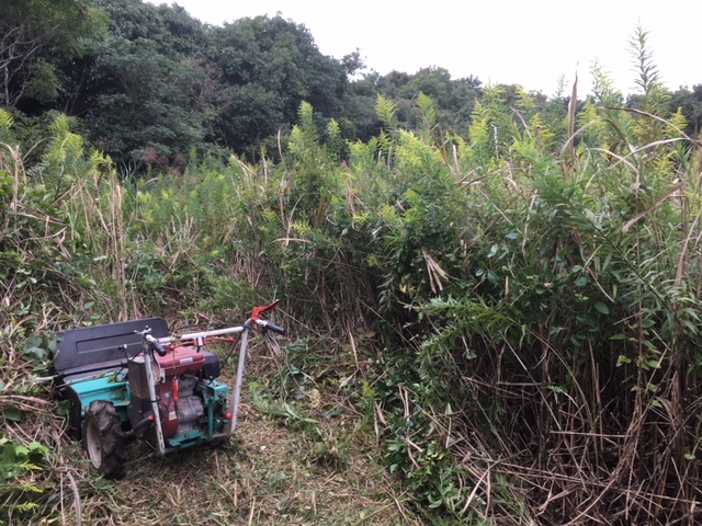 千葉　市原市　ハンマーナイフ　粉砕　草刈　除草