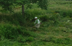 千葉　市原　除草作業　草刈り