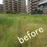 市原市　草刈り　空き地除草作業前画像